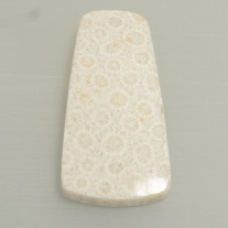 Koralle Fantasieschliff cabochon ca.23x45mm